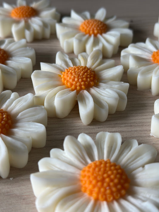 Daisy Flower Wax Melt