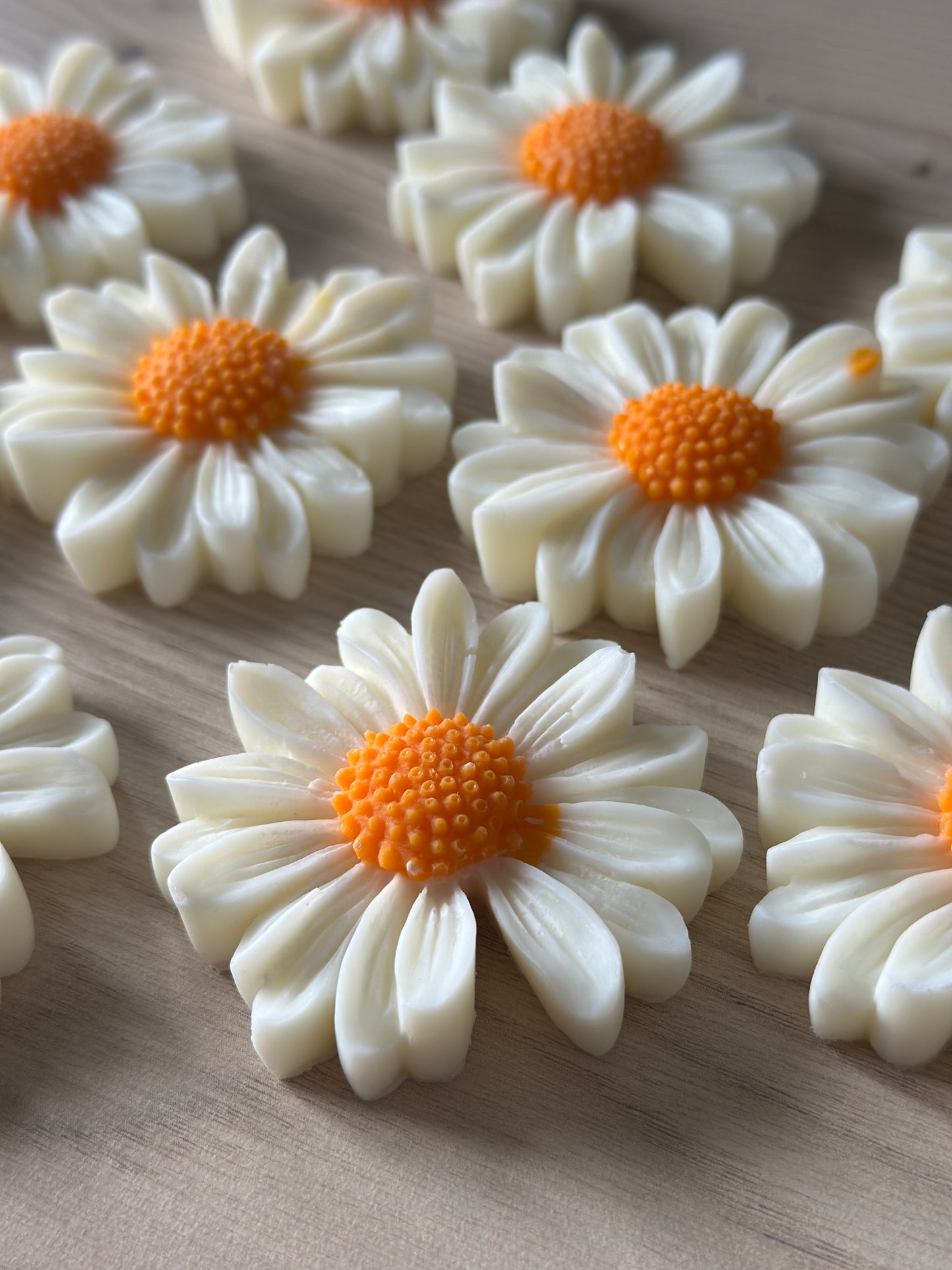 Daisy Flower Wax Melt