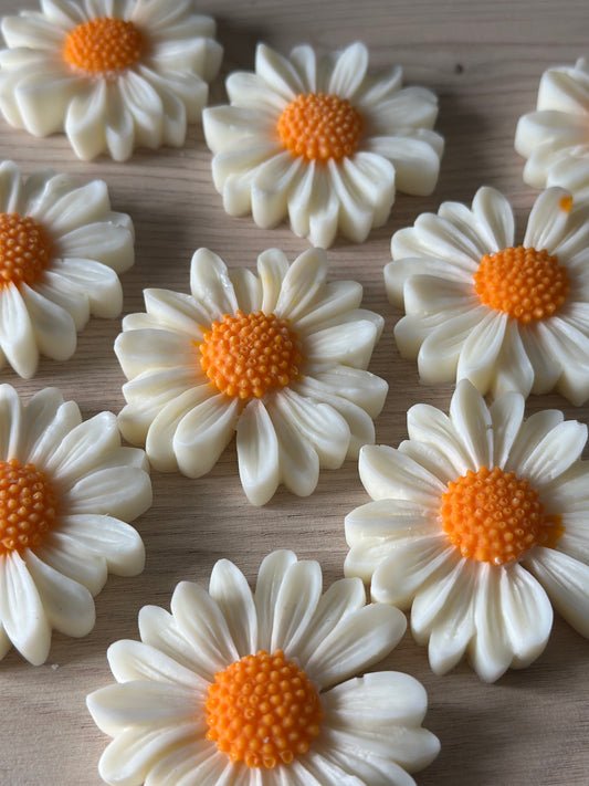 Daisy Flower Wax Melt